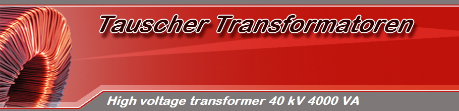 High voltage transformer 40 kV 4000 VA